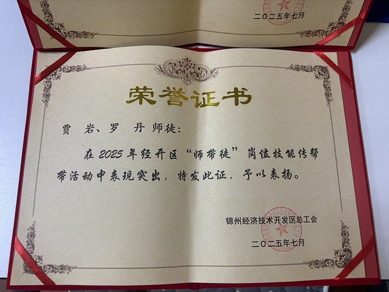 賈巖、羅丹師徒榮獲經(jīng)開(kāi)區“師帶徒”崗位技能傳幫帶活動(dòng)表彰